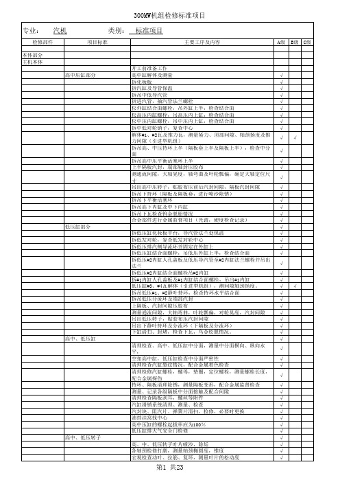 300MW机组标准检修项目