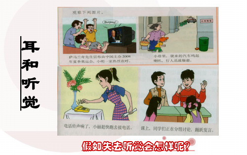 人教版七年级生物下册第四单元第六章第二课时《听觉》课件 (共20张PPT)