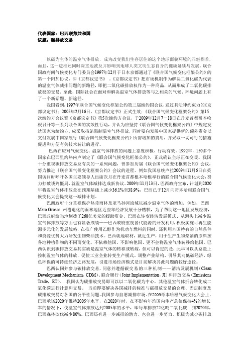 UNFCCC巴西立场文件