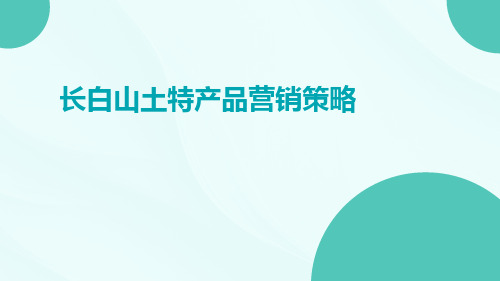 长白山土特产品营销策略