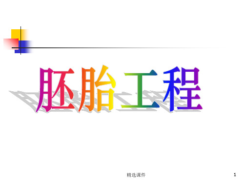 胚胎工程1PPT课件