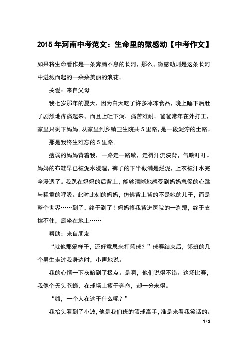 2015年河南中考范文：生命里的微感动【中考作文】
