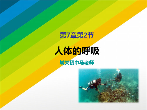 7上7-2节 人体的呼吸