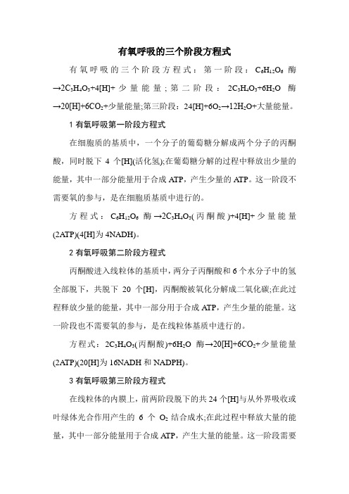 有氧呼吸的三个阶段方程式