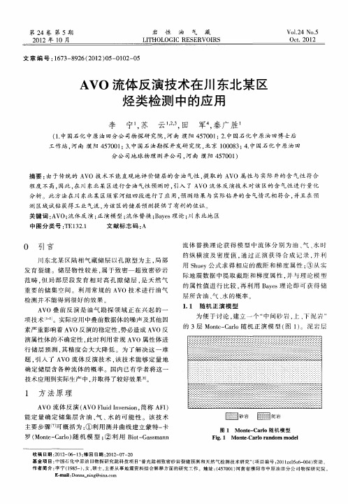 AVO流体反演技术在川东北某区烃类检测中的应用