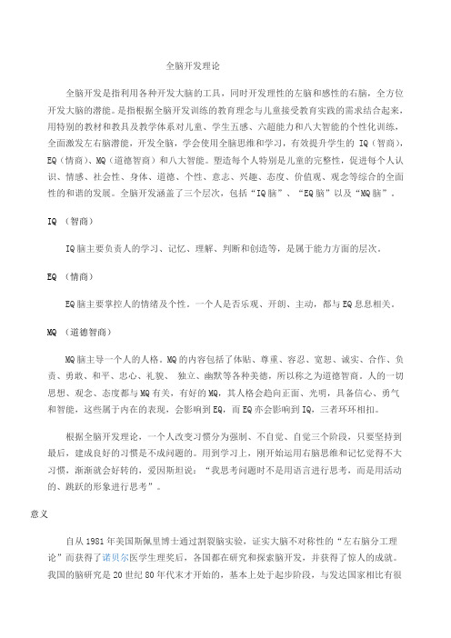全脑开发理论