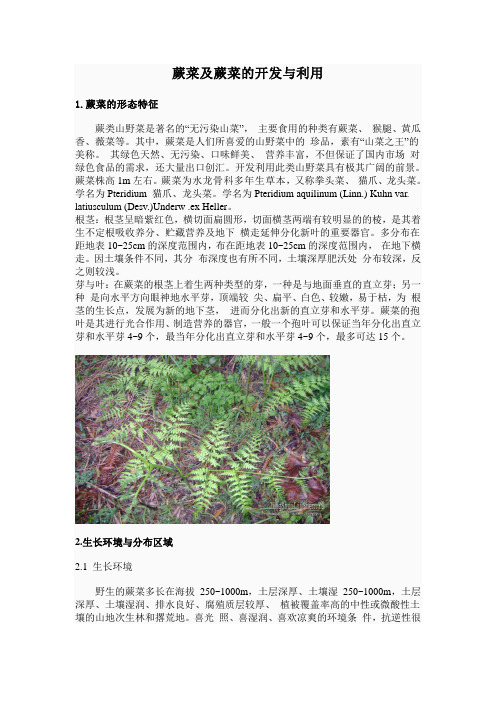 蕨菜