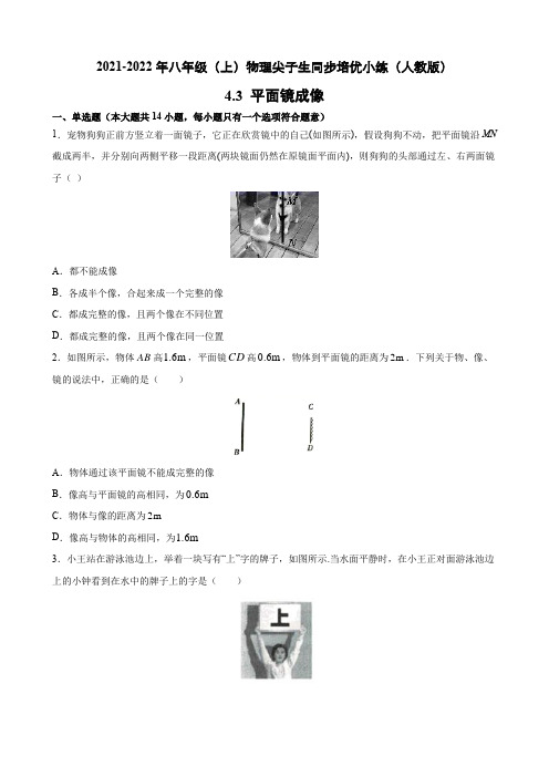 人教版物理八年级上册尖子生同步培优 4