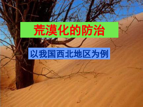 地理必修三2.1《荒漠化的防治 ——以我国西北地区为例》课件(2)