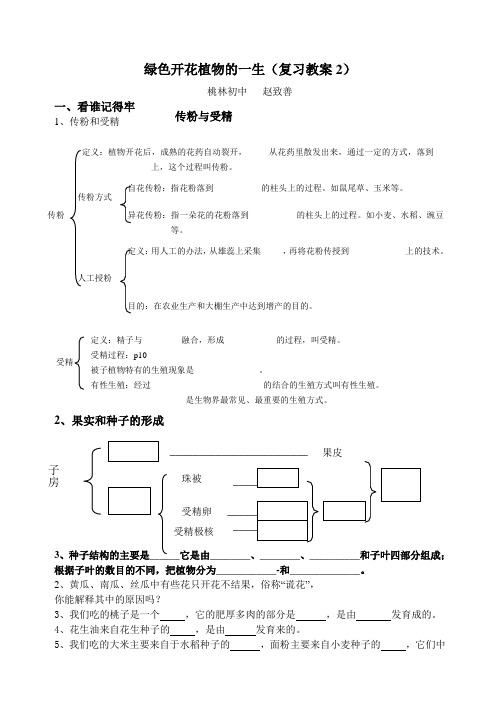 绿色开花植物的一生复习教案