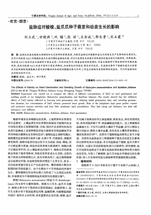 盐胁迫对梭梭、盐爪爪种子萌发和幼苗生长的影响