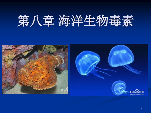 海洋生物毒素