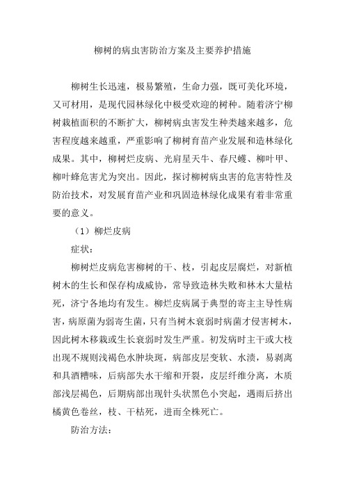 柳树的病虫害防治方案及主要养护措施