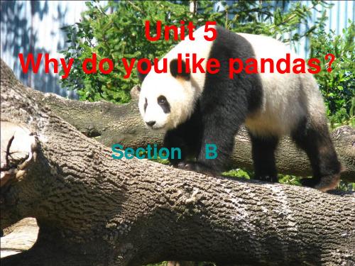 unit5Why do you like pandas课件ppt