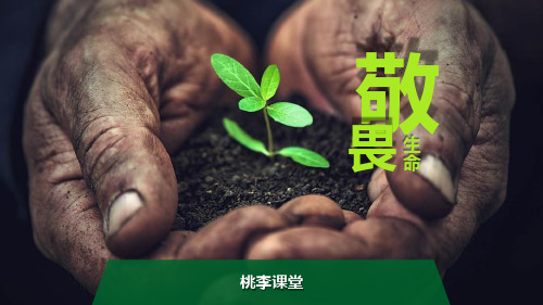 部编版七年级道德与法治上册《敬畏生命》PPT免费课件