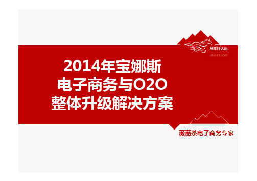 2014宝娜斯移动电子商务与O2O整体方案