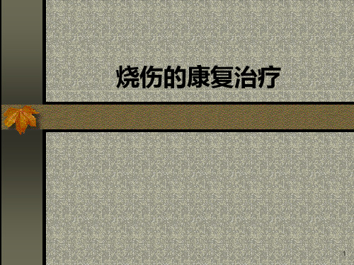 烧伤的康复治疗PPT幻灯片