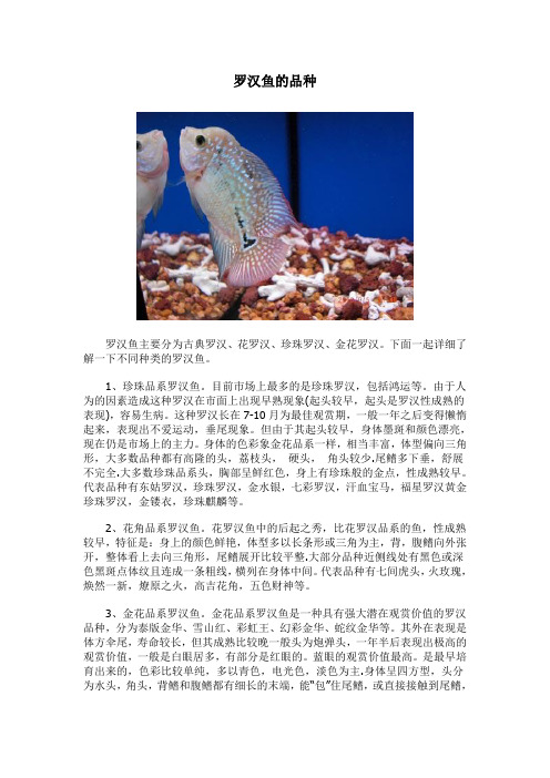 罗汉鱼的品种