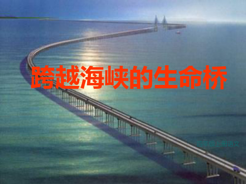 跨越海峡的生命桥课件
