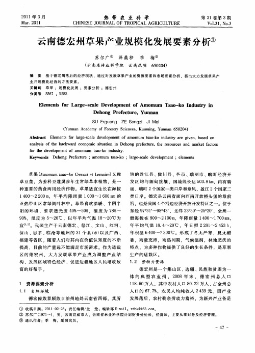 云南德宏州草果产业规模化发展要素分析