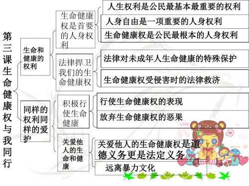 八年级政治我们的人身权利(1)