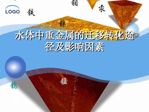 水体中重金属的迁移转化途径及影响因素