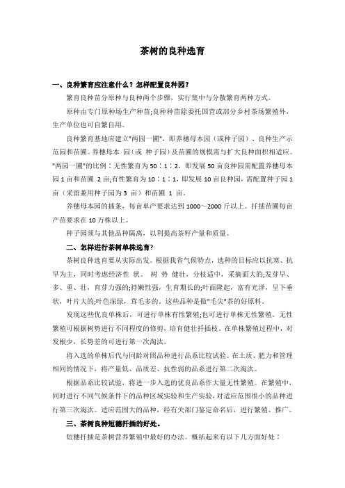茶树的良种繁育
