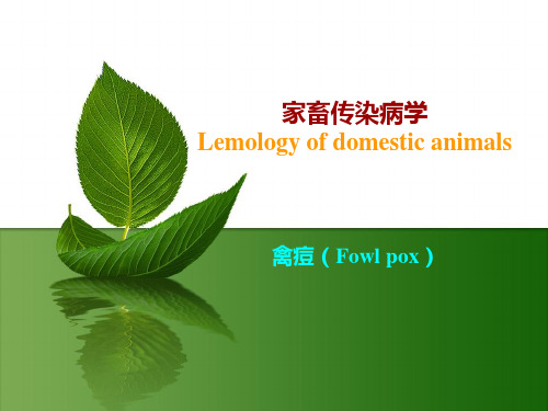 禽痘Fowlpox