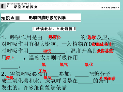 高中生物《影响呼吸作用的因素》.优秀精选PPT