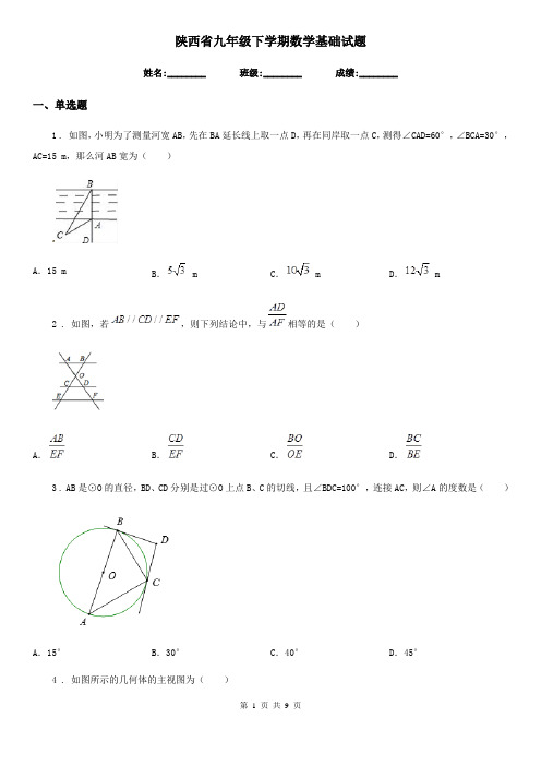 陕西省九年级下学期数学基础试题