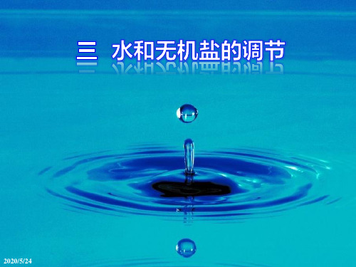 水和无机盐的平衡与调节(苏教版).
