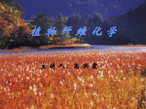第四章 半纤维素