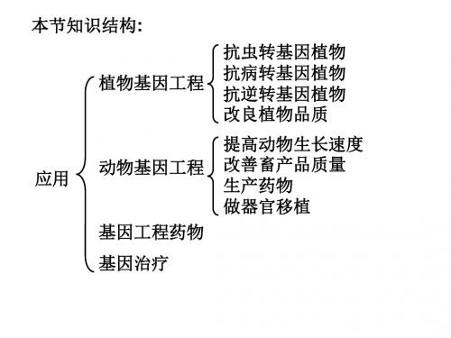 1.3-基因工程的应用