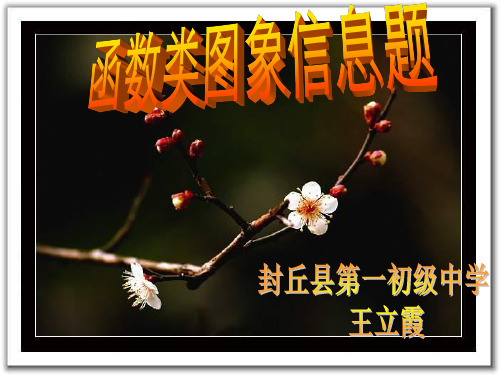 函数类图象信息题PPT教学课件
