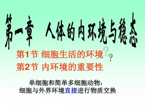 河北南宫市奋飞中学人教版高中生物二轮复习人体的内环境与稳态课件