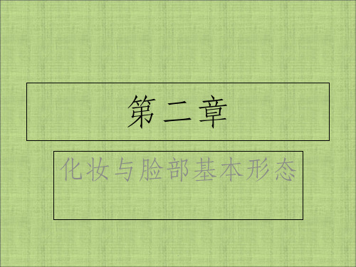 化妆基础第二章ppt课件