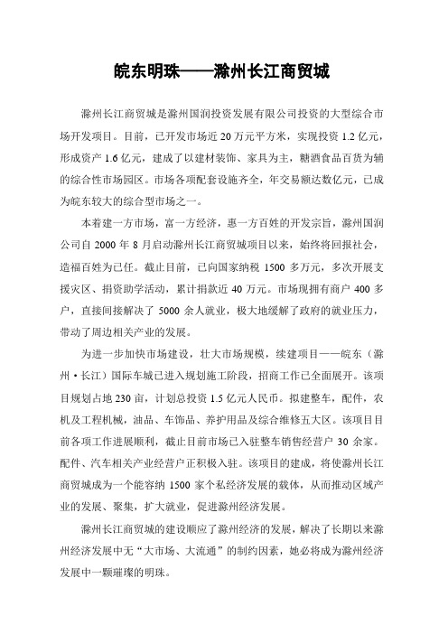 滁州公司简介(党史)