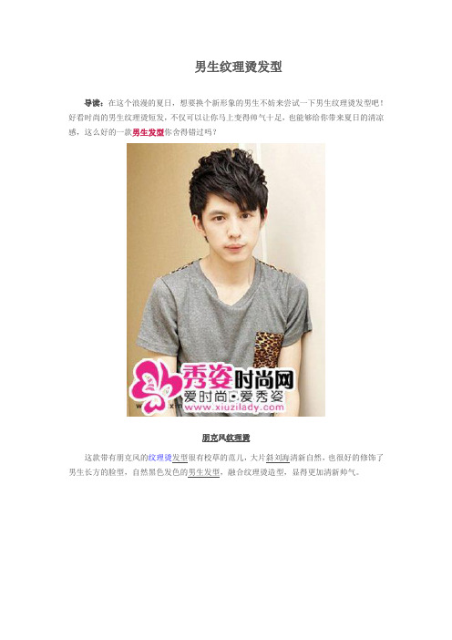 男生纹理烫发型