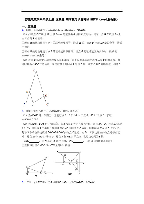 苏教版数学八年级上册 压轴题 期末复习试卷测试与练习(word解析版)