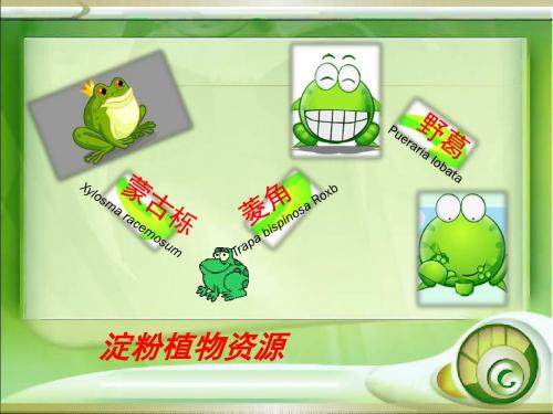 淀粉植物资源