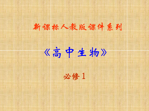 3.2《细胞器──系统内的分工合作》课件(新人教版-必修1)精编版