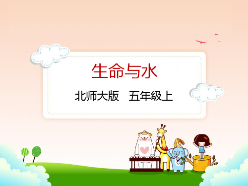 北师大版五年级上册语文 5.1生命与水课件
