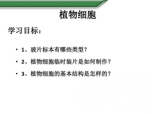 主题：植物细胞(共27张PPT)