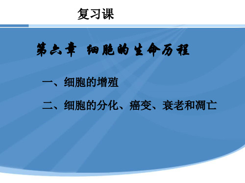 人教版高中生物必修一第六章复习课件