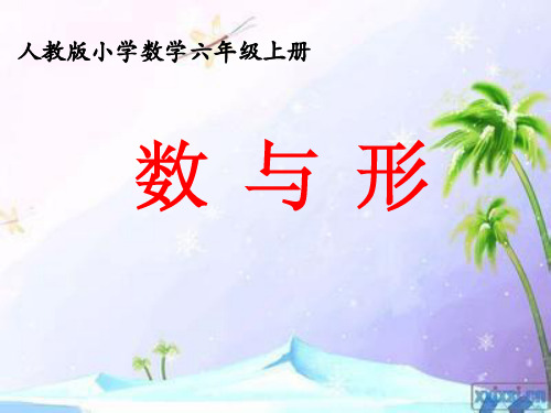 最新六年级上册数与形PPT
