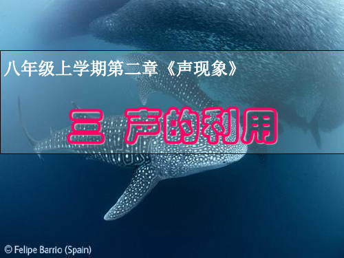 人教版八年级上册物理第2章第3节声的利用_课件