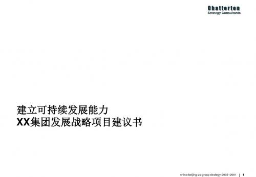 XX集团发展战略策划