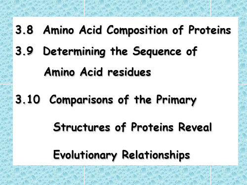 生物化学英文课件Biochemistry-chapter 3