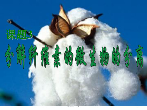 分解纤维素的微生物的分离知识点ppt精选课件