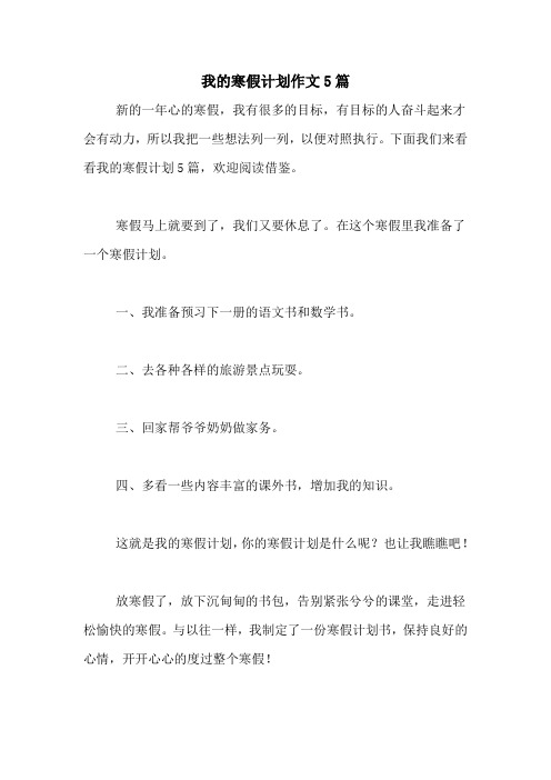 2020年我的寒假计划作文5篇
